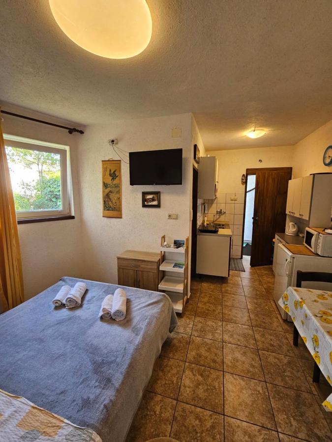 Apartments Ivan مالينسكا المظهر الخارجي الصورة